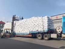 把握機遇、鉚足干勁、承勢而上