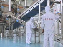 2025年的第一個月，承德亞歐果仁有限公司在山杏產(chǎn)業(yè)的道路上持續(xù)奮進，展現(xiàn)出蓬勃的發(fā)展活力。